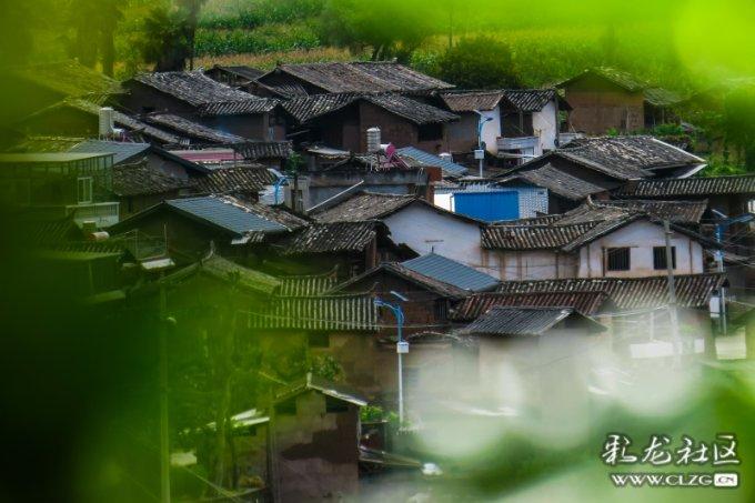 女排健将李月明:19岁入选国家队退役后,二婚嫁给美国人很幸福